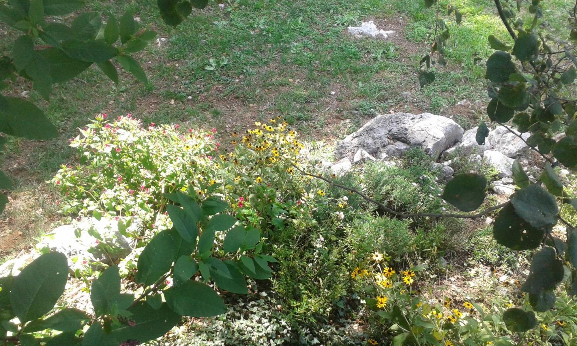 Guest House Rabenseifner - Opatija Jurdani Bagian luar foto